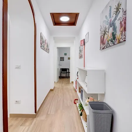 Testaccio Patty Flat Roma