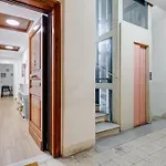 Testaccio Patty Flat Rom