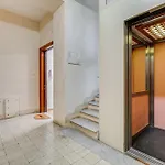 Testaccio Patty Flat *